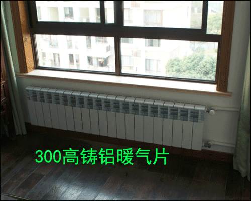 �߉��T�Xů��Ƭ