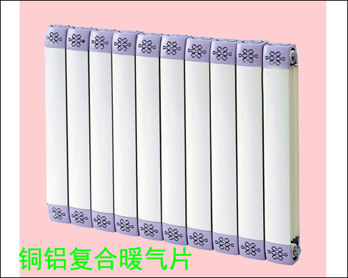 �~�X��(f��)��ů��Ƭ