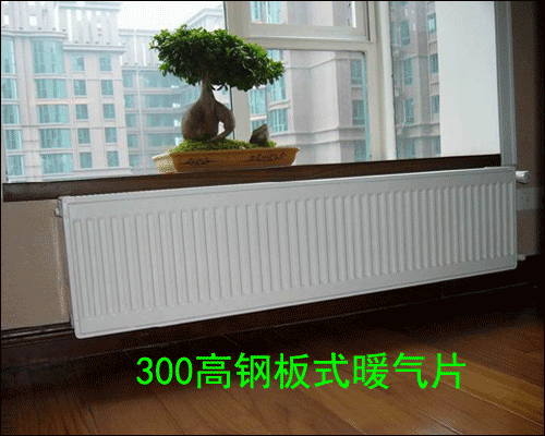 300����ư�ʽɢ����