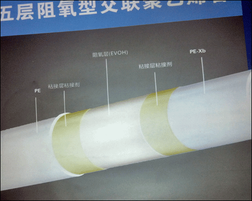 ���׵µ�ů��