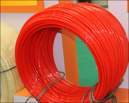 ���׵µ�ů��