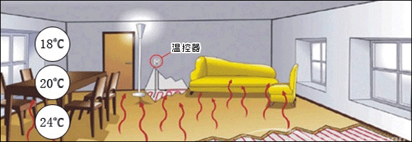 ��ů��ֲ�����