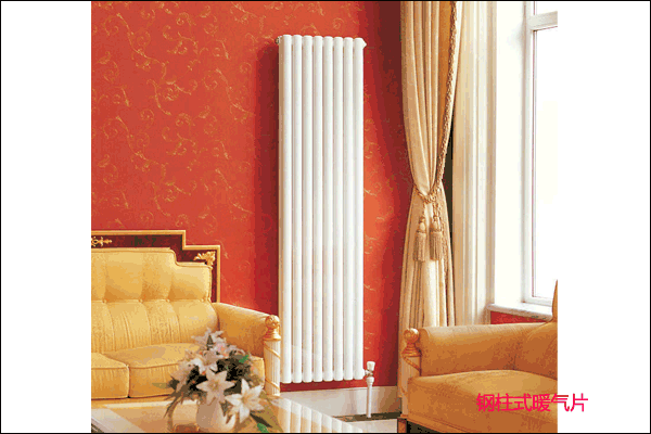 ���ʽů��Ƭ