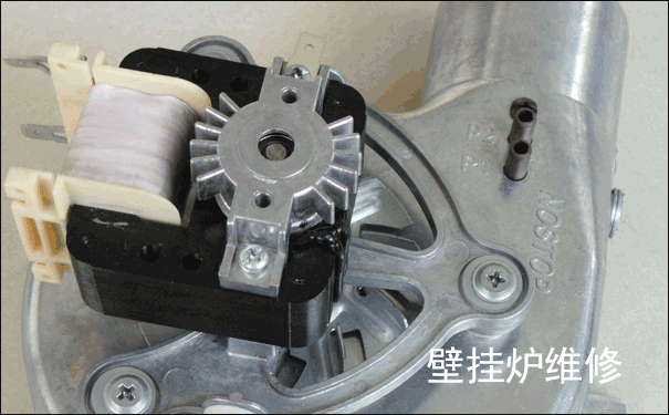 ��˹���ڒ�t�S��