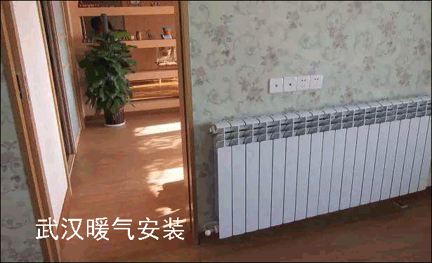 ��hů��Ƭ���b