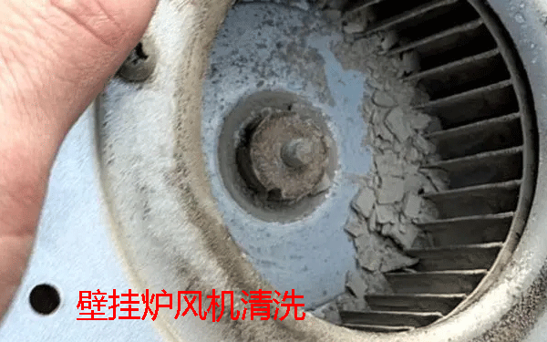 ��˹���ڒ�t��ϴ���B(y��ng)